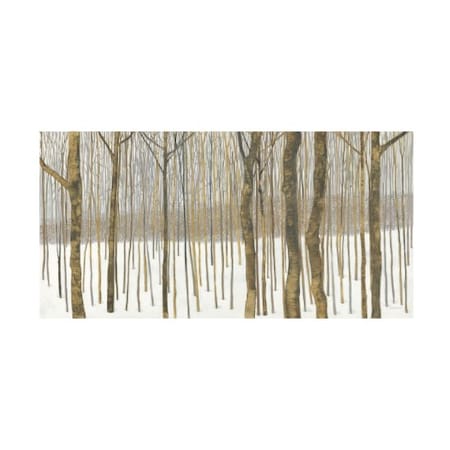 TRADEMARK FINE ART Kathrine Lovell 'Woods in Winter' Canvas Art, 16x32 WAP12319-C1632GG
